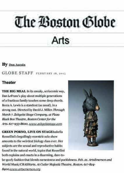 Boston Globe feb 2015